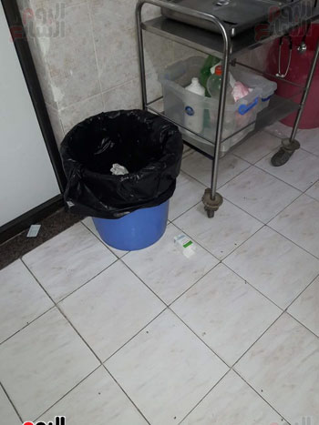 القطط داخل مستشفى حميات أبو المطامير (16)