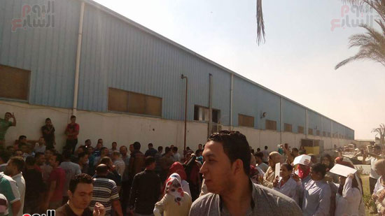 إضراب عمال شركة مصر تركيا للغزل والنسيج (3)