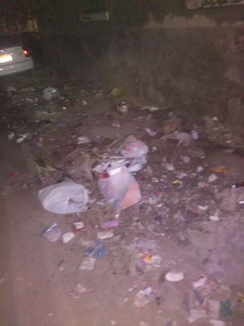 انتشار القمامة بشارع عبد الهادى بالمنيل (1)