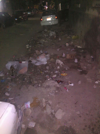 انتشار القمامة بشارع عبد الهادى بالمنيل (2)