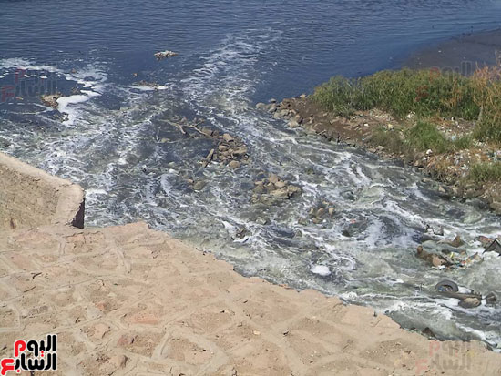 تلوث-مياه-النيل-فى-أسوان-(3)