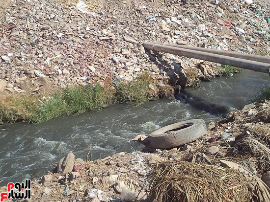 تلوث-مياه-النيل-فى-أسوان-(9)
