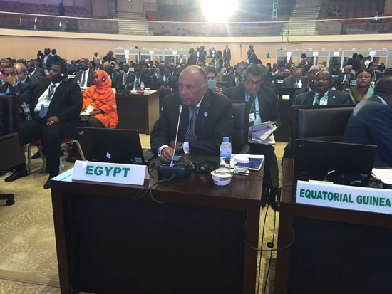 الجلسة الأولى لاجتماعات المجلس التنفيذى للاتحاد الأفريقي  (2)