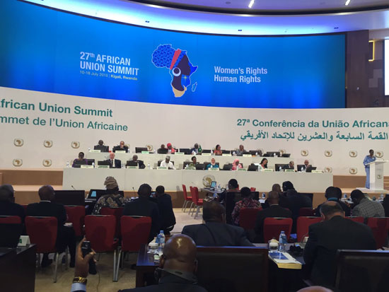 الجلسة الأولى لاجتماعات المجلس التنفيذى للاتحاد الأفريقي  (3)