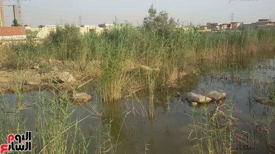 قرية الأمل وعزبة مبارك تغرق فى مياه الصرف الصناعى (2)