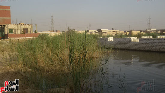 قرية الأمل وعزبة مبارك تغرق فى مياه الصرف الصناعى (6)