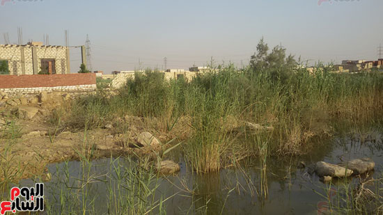 قرية الأمل وعزبة مبارك تغرق فى مياه الصرف الصناعى (8)