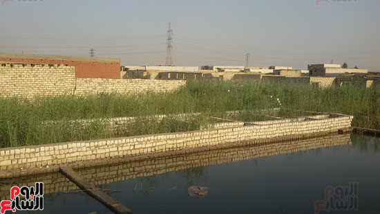 قرية الأمل وعزبة مبارك تغرق فى مياه الصرف الصناعى (9)