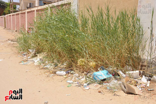 فعاليات مبادرة حلوة يا بلدى فى الوادى الجديد  (2)