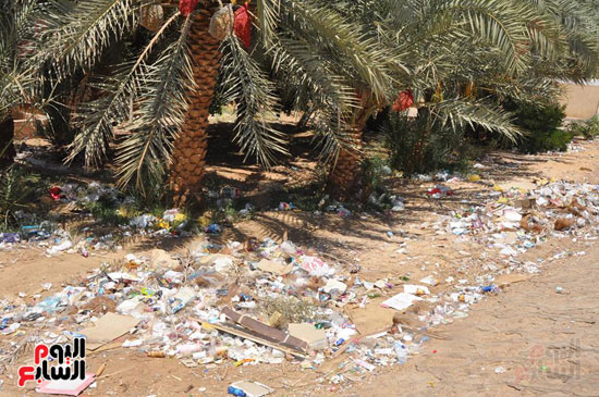 فعاليات مبادرة حلوة يا بلدى فى الوادى الجديد  (9)