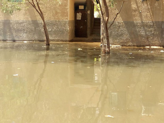 مياه الصرف تحاصر العمارات السكنية (3)