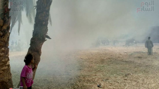السيطرة على حريق بأشجار النخيل باسنا جنوب الأقصر (5)