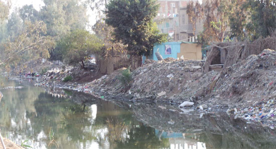 قرية بهواش بالمنوفية تعانى من المياه الجوفية الصرف الصحى (4)