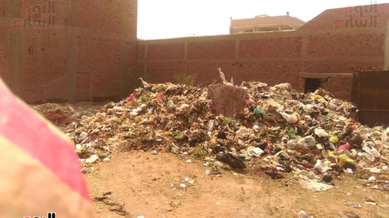 القمامة تحاصر الأهالى بمنشأة البكارى بالتزامن مع حملة حلوة يا بلدى (3)
