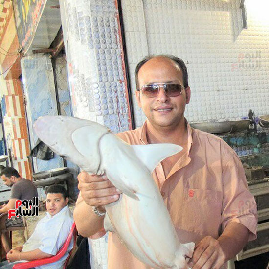 اليوم السابع فى أكبر أسواق بيع أسماك القرش بالسويس (1)