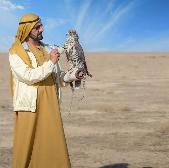 محمد بن راشد آل مكتوم، حمدان بن راشد آل مكتوم، دبى، الإمارات، ولى عهد دبى (7)