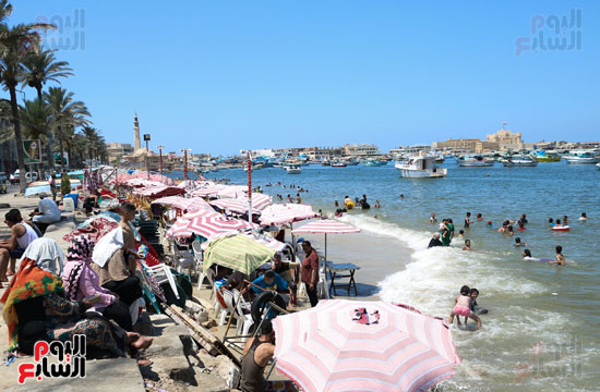 شواطئ اسكندرية (7)