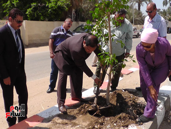  أحمد ضيف صقر محافظ الغربية يشارك حملة حلوة يا بلدى بزراعة الأشجار (5)