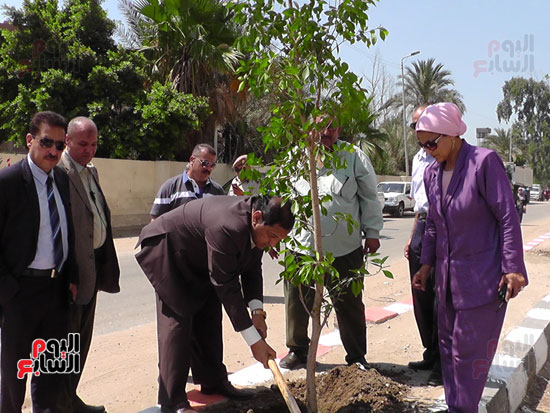  أحمد ضيف صقر محافظ الغربية يشارك حملة حلوة يا بلدى بزراعة الأشجار (6)