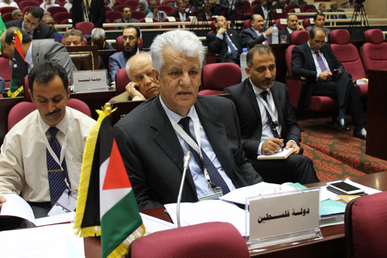 وزراء المال والاقتصاد العرب يوجهون الشكر للسيسي على رعاية المؤتمر الإقليمى (8)