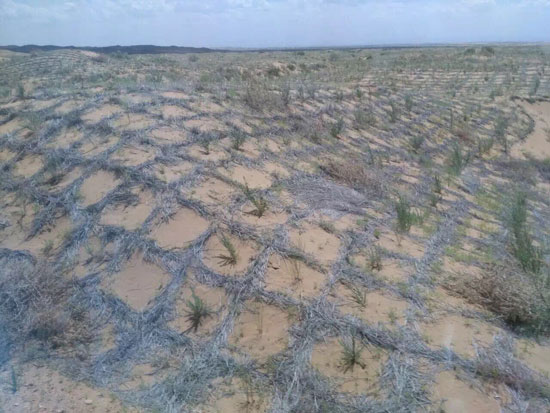 منطقة-نينجشيا-الصينية-(4)