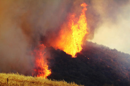 رجال الاطفاء، السيطرة على حريق، حريق لوس انجلوس (3)