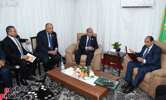 رئيس الوزراء يسلم رسالة للرئيس الموريتانى من السيسى (2)