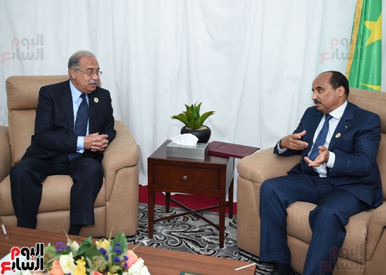 رئيس الوزراء يسلم رسالة للرئيس الموريتانى من السيسى (3)