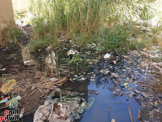 أهالى مساكن الكويزات بجرجا يعانون من مياه الصرف الصحى (2)