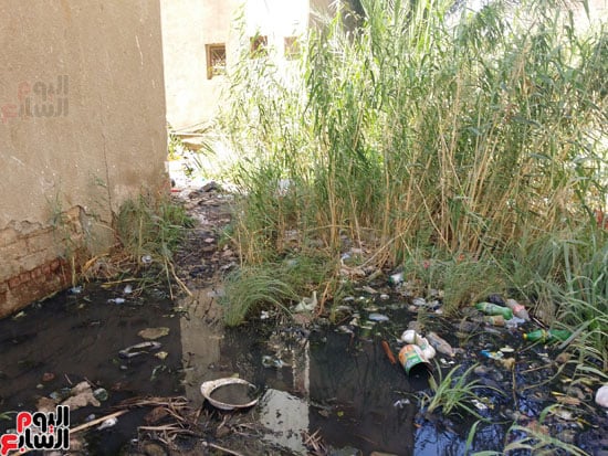 أهالى مساكن الكويزات بجرجا يعانون من مياه الصرف الصحى (3)