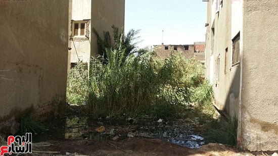أهالى مساكن الكويزات بجرجا يعانون من مياه الصرف الصحى (5)