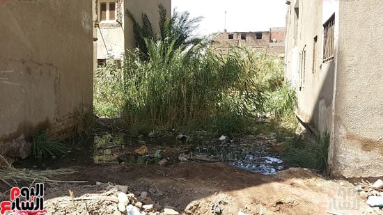 أهالى مساكن الكويزات بجرجا يعانون من مياه الصرف الصحى (6)