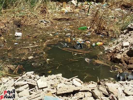 أهالى مساكن الكويزات بجرجا يعانون من مياه الصرف الصحى (9)