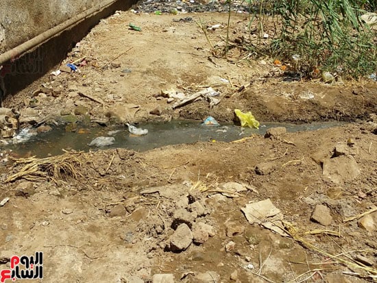 أهالى مساكن الكويزات بجرجا يعانون من مياه الصرف الصحى (10)