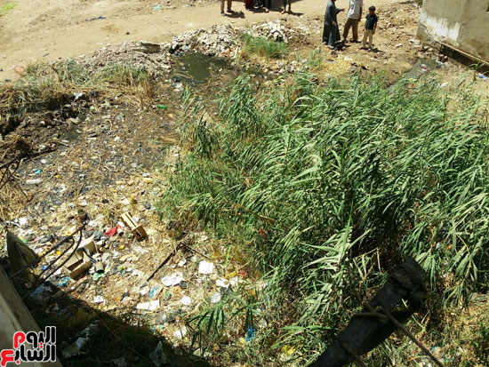 أهالى مساكن الكويزات بجرجا يعانون من مياه الصرف الصحى (11)