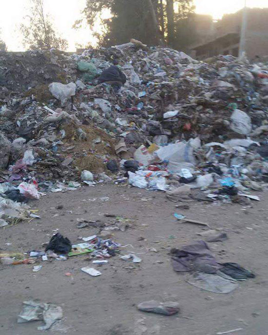 القمامة المنتشرة بقرية درين (2)