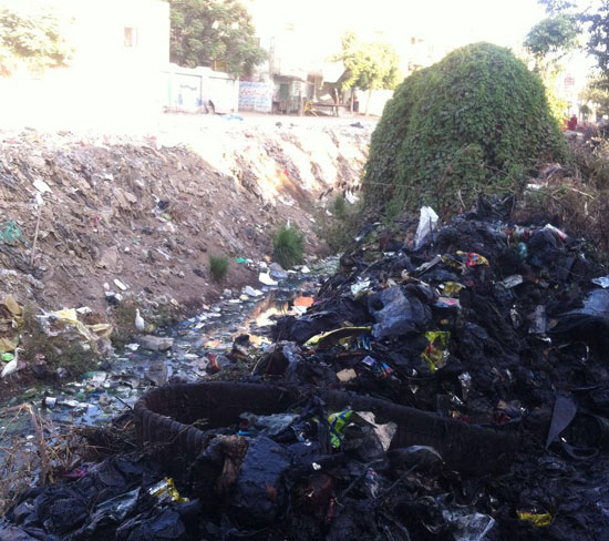 القمامة-المنتشرة-أمام-مدرسة-ميت-أم-صالح-فى-المنوفية-(2)