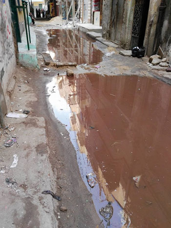 مياه الصرف تغرق شارع المحكمة فى الشرقية وتهدد بانهيار العقارات (2)