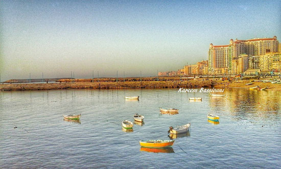 صور فوتوغرافية بكاميرا موبايل تبرز جمال الطبيعة بالإسكندرية (5)