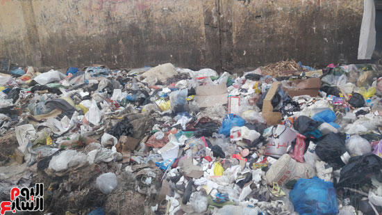 تتراكم القمامة بشوارع الإسكندرية (5)