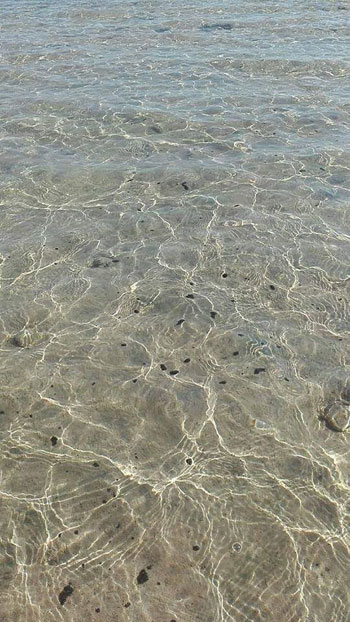 شواطئ محمية رأس محمد (2)