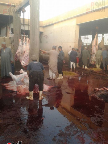  مجازر الحكومة مفارخ اللحوم المسممة بالأسواق (4)