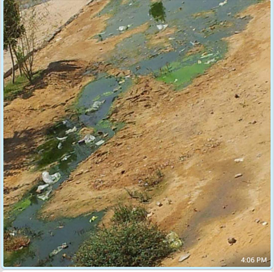 اليوم السابع -8 -2015