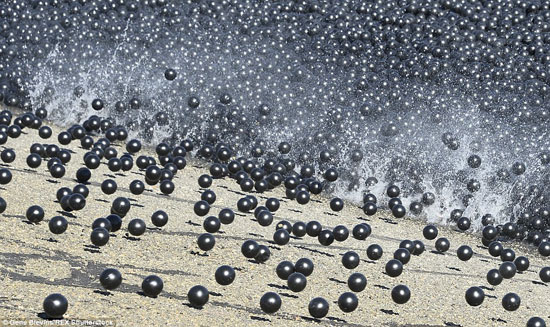 ستمنع الكرات 300 مليون جالون من المياه من التبخر -اليوم السابع -8 -2015