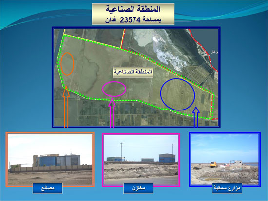 اليوم السابع -8 -2015