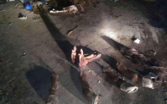 اليوم السابع -8 -2015