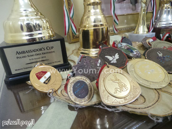 بعض الميداليات التى حصل عليها رامى الجزار -اليوم السابع -8 -2015