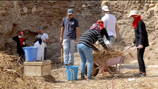 اليوم السابع -8 -2015