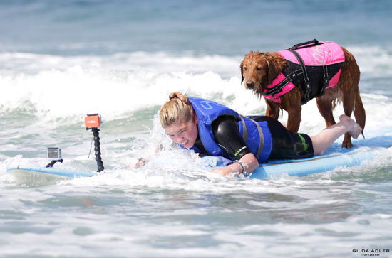 الكلب بيل يرافق بيلامى لركوب الأمواج -اليوم السابع -8 -2015