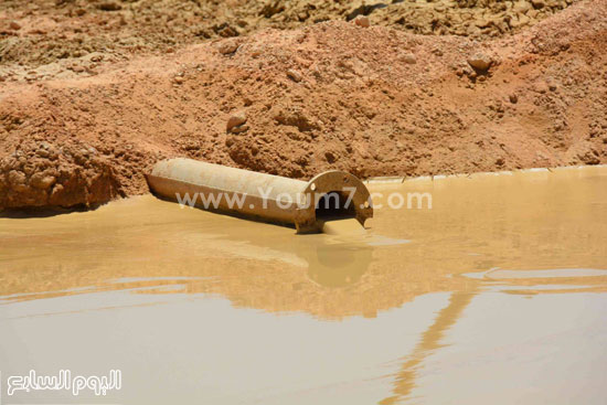 اليوم السابع -8 -2015